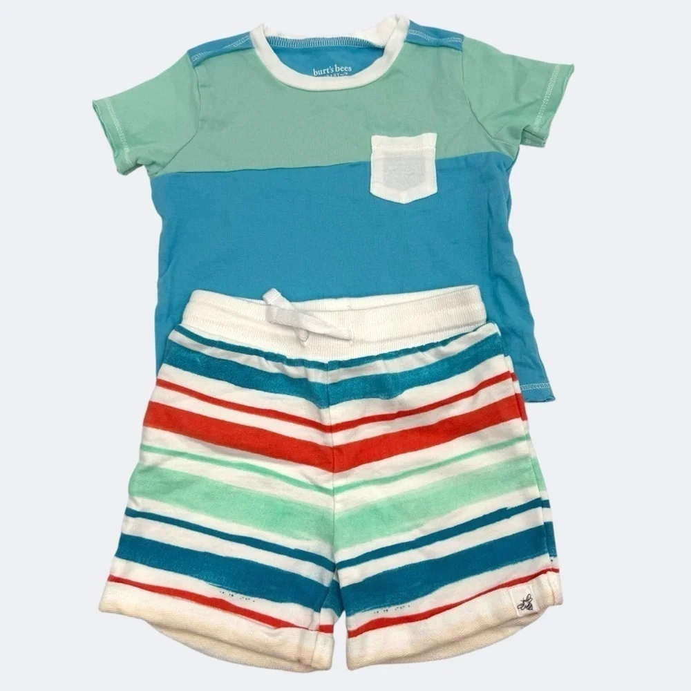 Burt's Bees Baby Teal and Green 2 piece Shirt and Stripe Shorts Set 6-9 Months